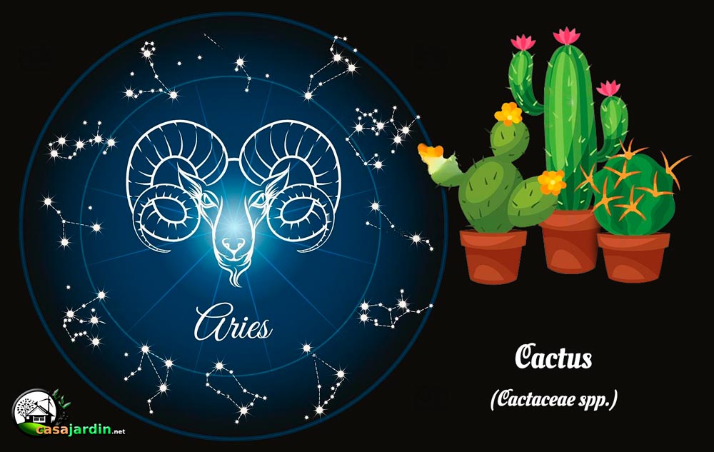 plantas según signo zodiaco aries